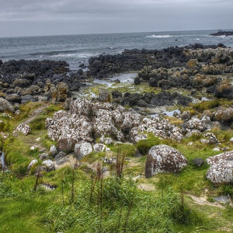 Belfast & Giant’s Causeway