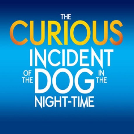 London Theatre- The Curious Incident Of The Dog in the Night-Time