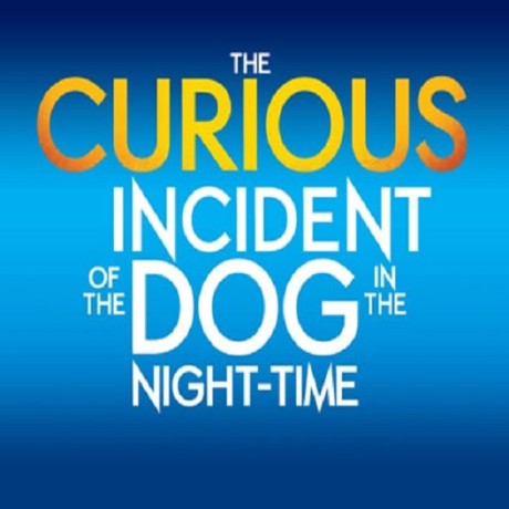 London Theatre- The Curious Incident Of The Dog in the Night-Time