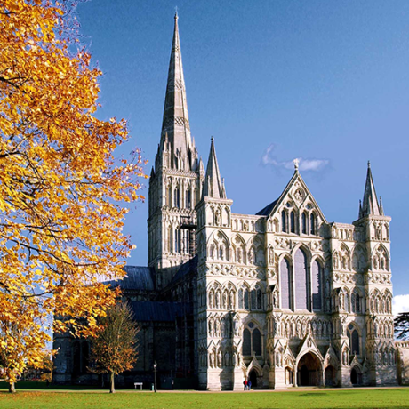 Bath & Salisbury Cathedral