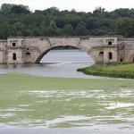 Blenheim Palace