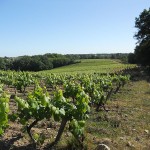 Loire Valley