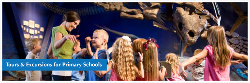 Tours & Excursions for Primary Schools in UK